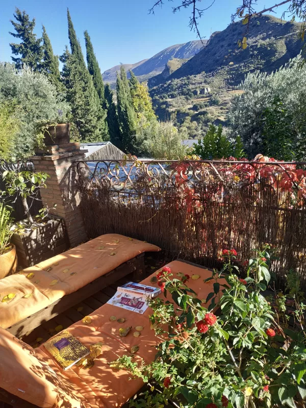 Views from the garden